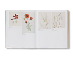 HILMA AF KLINT AND PIET MONDRIAN: FORMS OF LIFE [HARDCOVER]